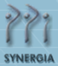 PPI Synergia Sp. z o.o. - logo