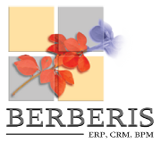 System Berberis - ERP CRM BPM - logo