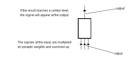 Functional scheme of a neural cell