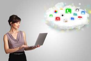 System CRM / ERP Berberis