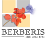 CRM / ERP Berberis - logo