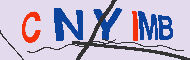 Kod CAPTCHA