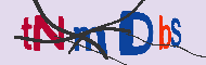 Kod CAPTCHA